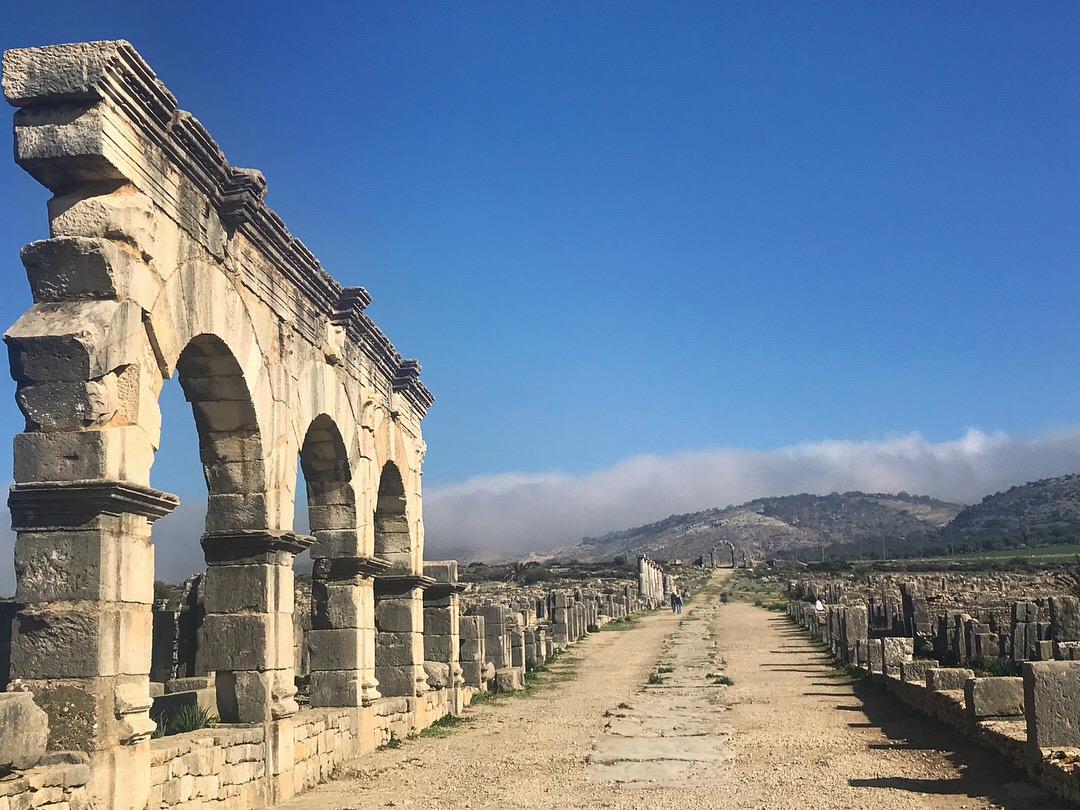gallery image for 1 Day Shared Tour Volubilis From Fes