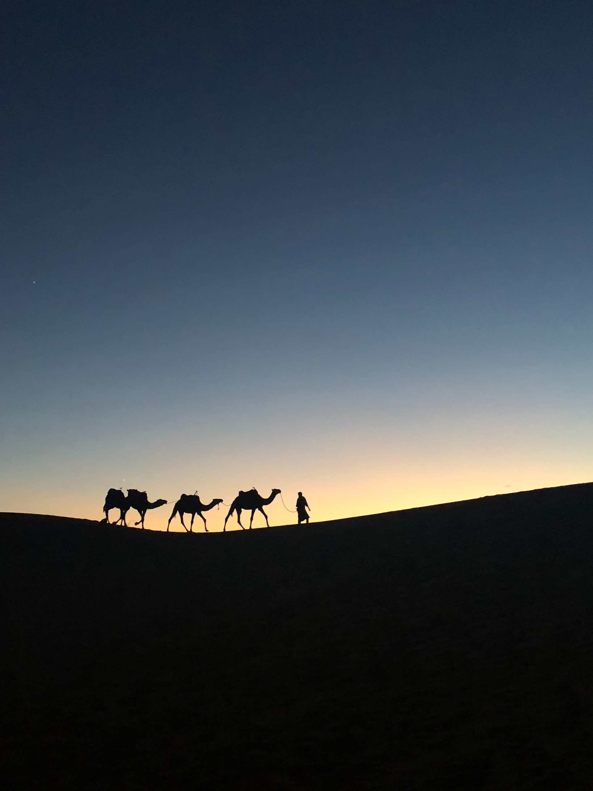 gallery image for New Year's Celebration in the Sahara Desert