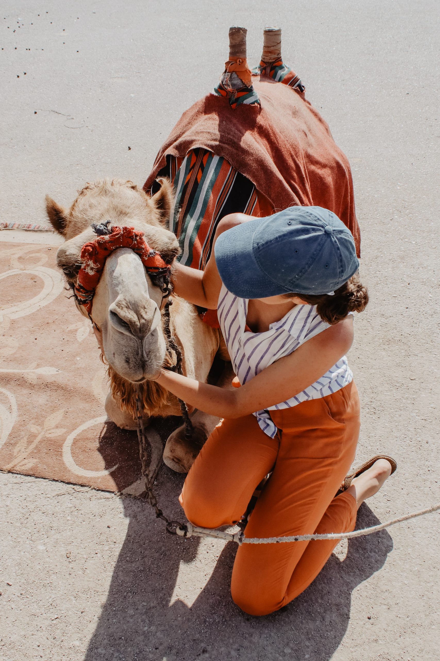 gallery image for Private Camel Ride in The Palm Groove Marrakech