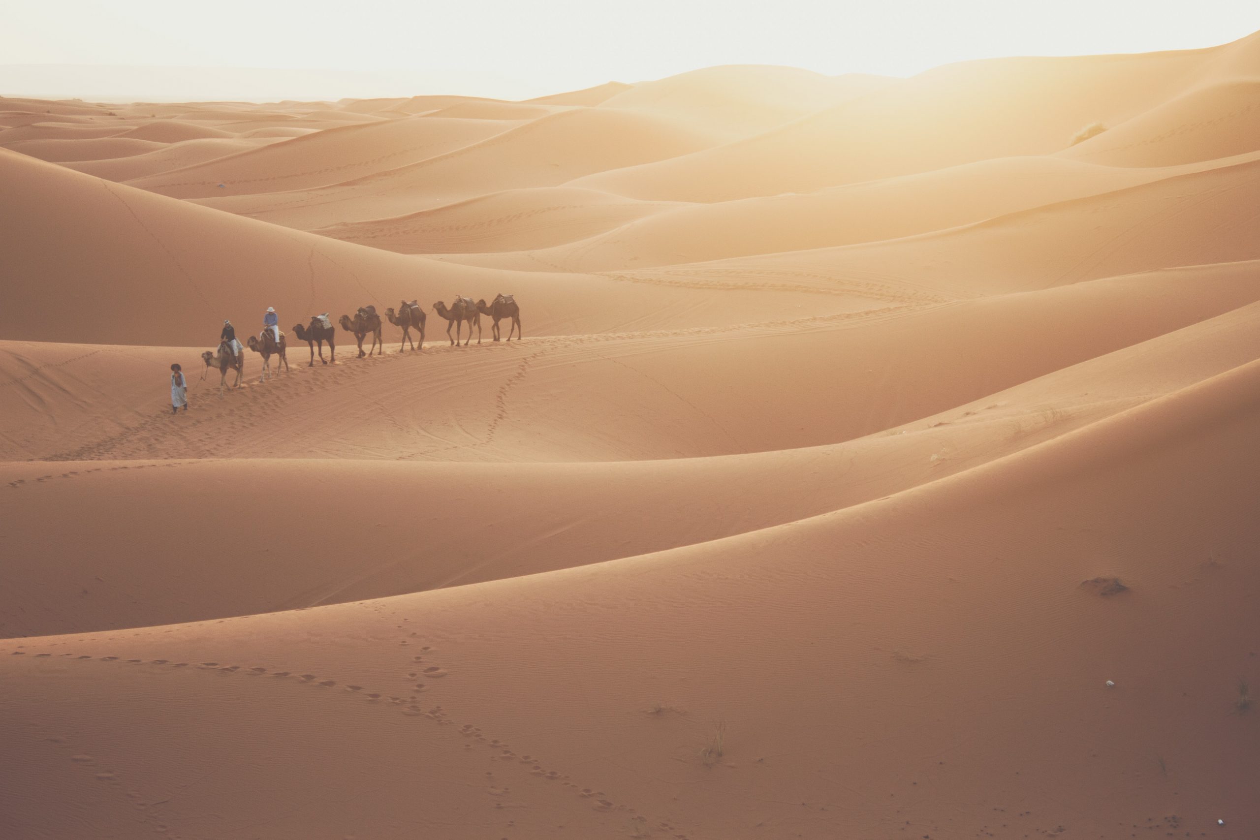 gallery image for New Year's Celebration in the Sahara Desert