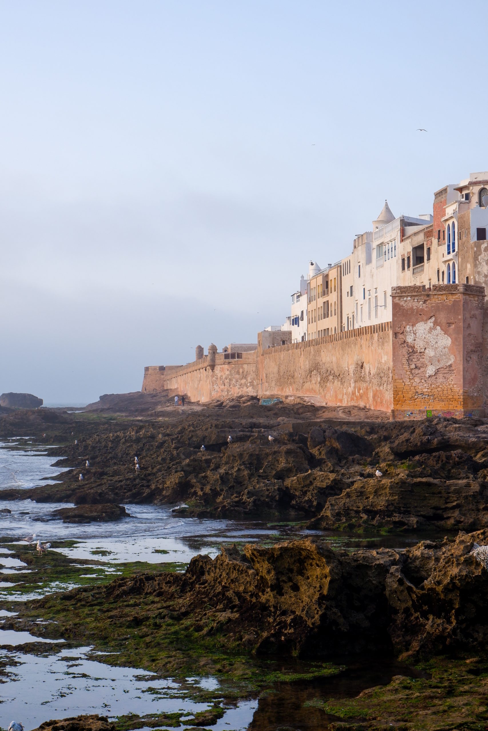 gallery image for 1 Day Shared Tour Essaouira From Marrakech