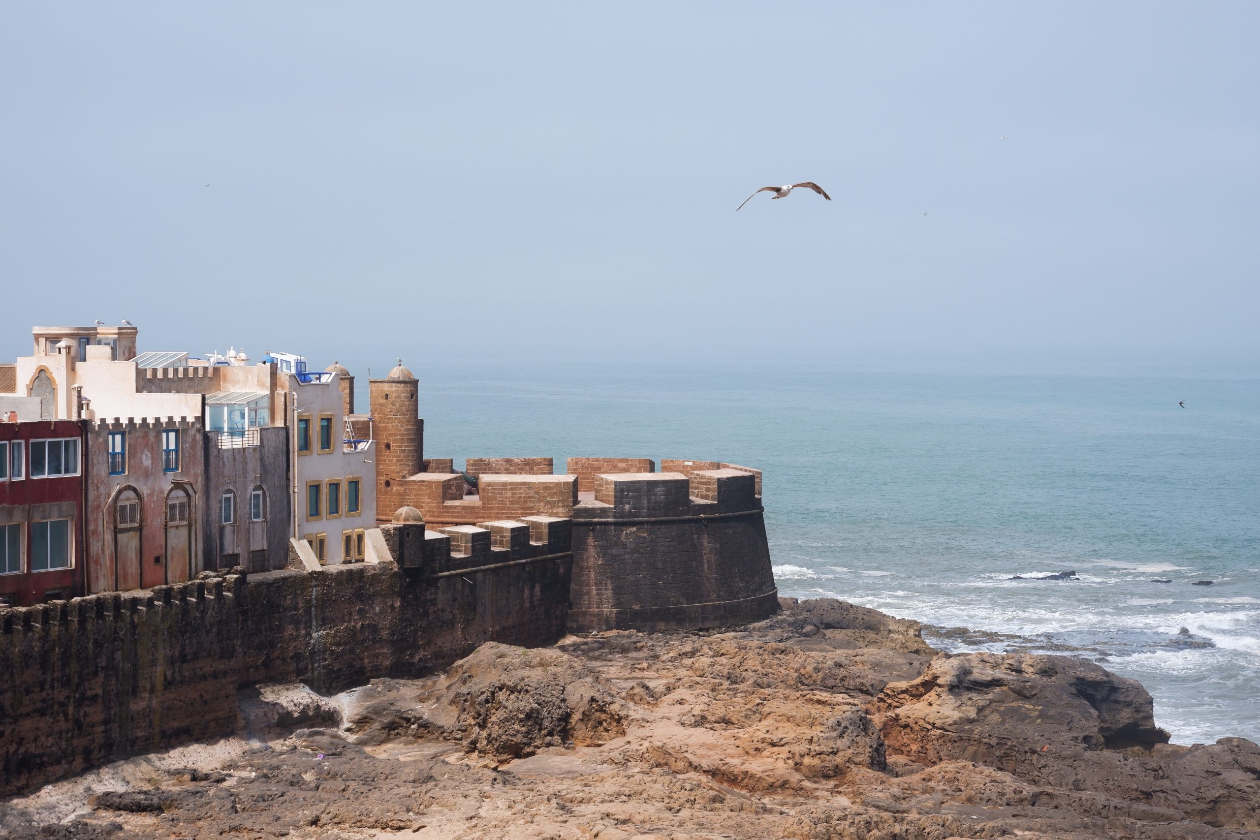 gallery image for Guided Walking Tour In Essaouira