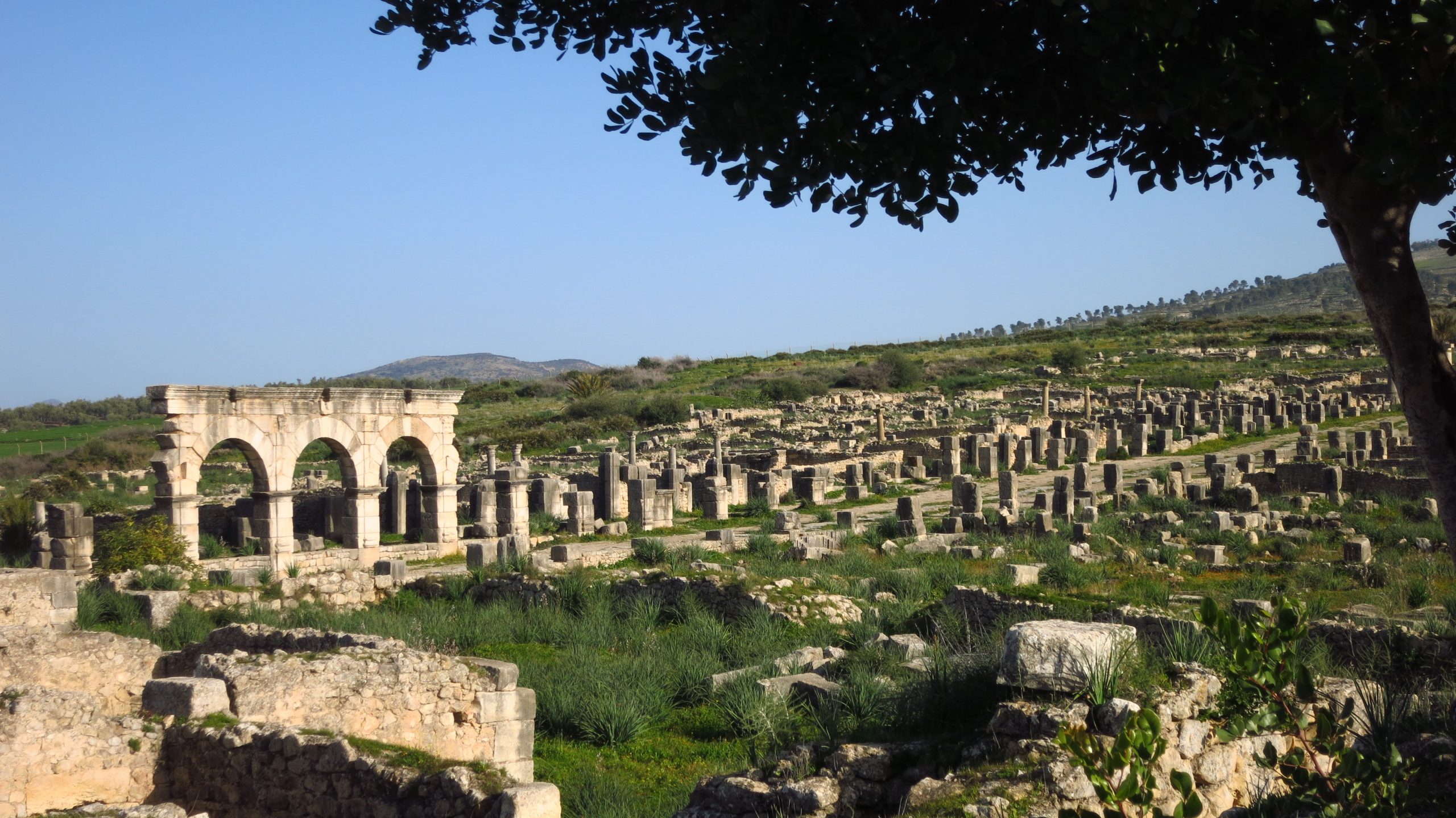 gallery image for 1 Day Shared Trip Volubilis From Fes