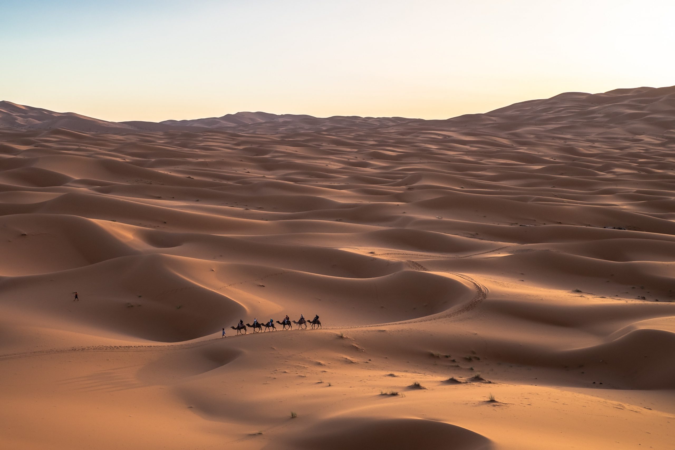 gallery image for 3 Day Shared Tour Sahara Desert From Marrakech