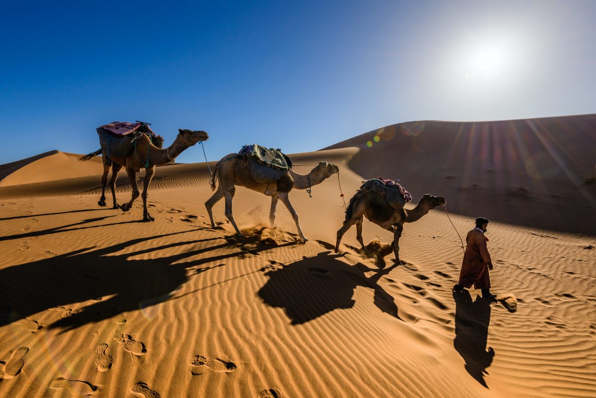 gallery image for 3 Day Private Tour Sahara Desert from Fes