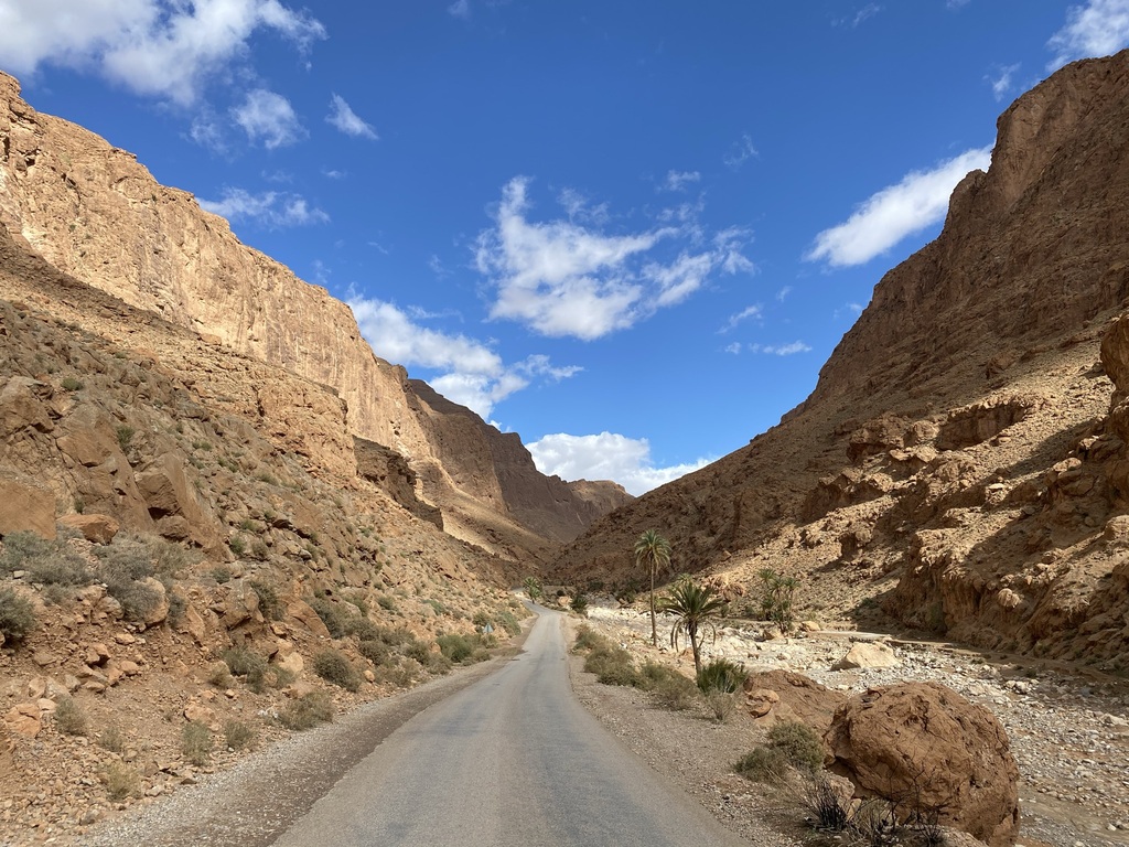 Your tailor made journey 1 Scenic view of a winding road through rocky mountains and palm trees, showcasing the natural beauty of Morocco's landscape, ideal for tailored travel experiences.